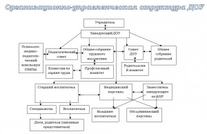 структура доу